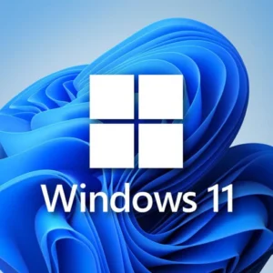 Microsoft Windows 11 Profesional OEM