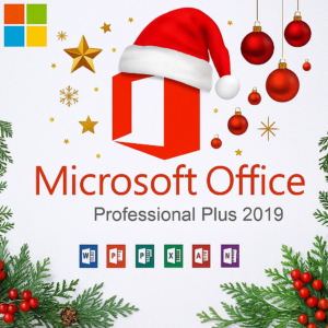 Microsoft Office 2019 Profesional OEM