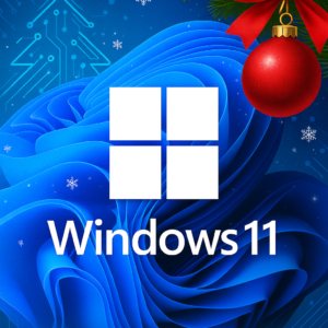 Microsoft Windows 11 Profesional OEM