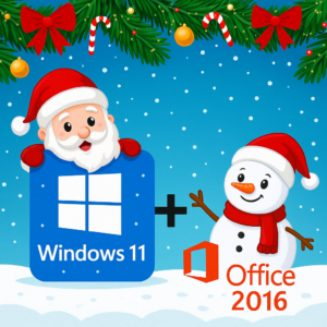 Combo / Microsoft Windows 11 Pro + Microsoft Office 2016 Pro